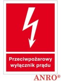 ZNAK BEZPIECZEŃSTWA Z-31P