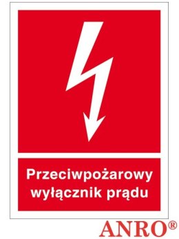 ZNAK BEZPIECZEŃSTWA Z-31P